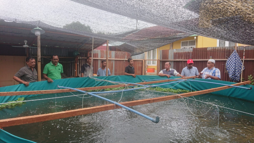 Kolam bioflok Ikan Nila Kegiatan peningkatan Produksi Ketahanan Pangan 